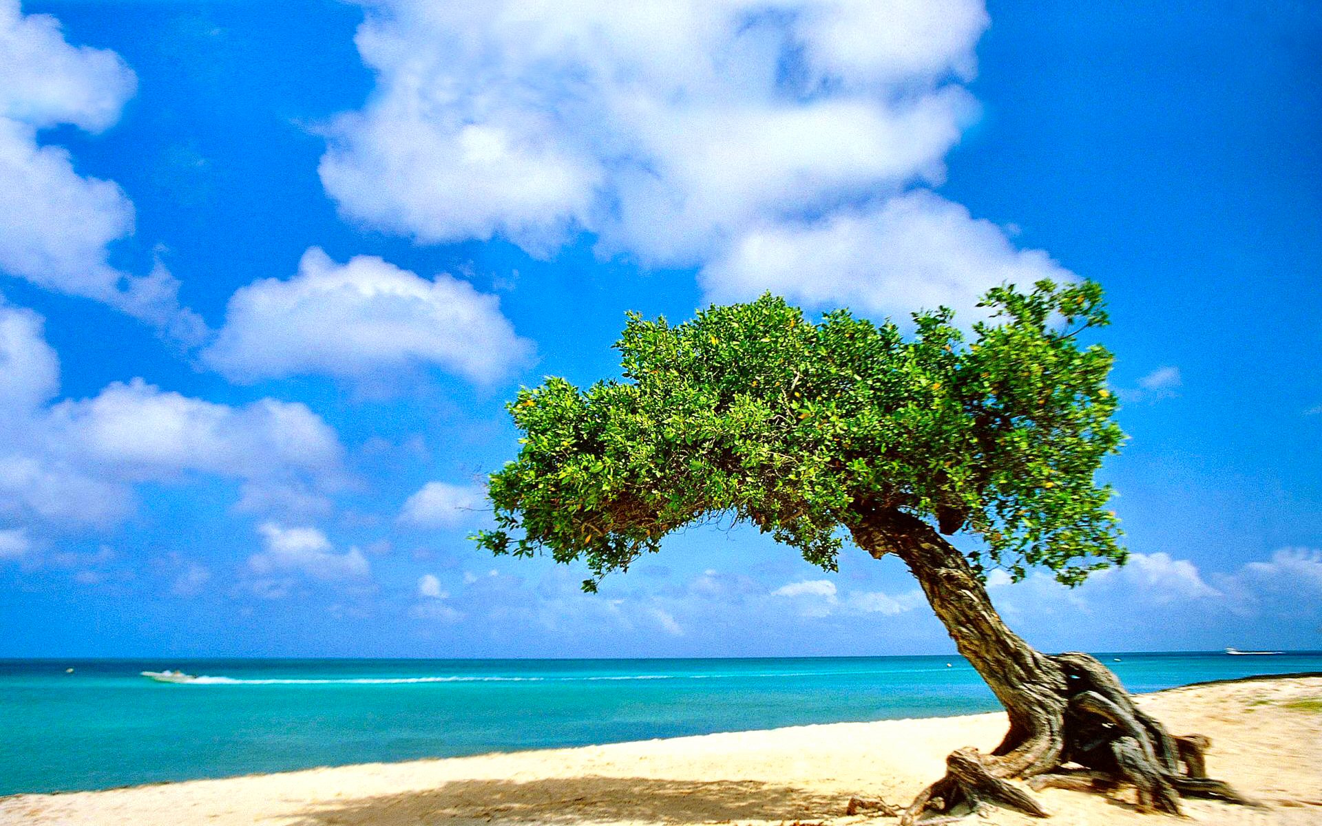 G组欧陆红魔遭遇非洲雄鹰：比利时vs埃及、伊朗vs新西兰防反转换时效数字化